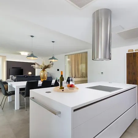 Modern Damian With Jacuzzi Near Porec Villa Rajki