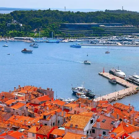 Modern Damian With Jacuzzi Near Porec Rajki